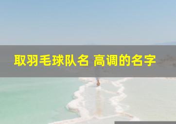 取羽毛球队名 高调的名字